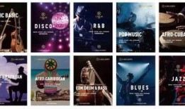 爆料视频背景音乐文案,爆款视频背后的神秘音乐之谜