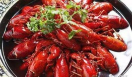 龙虾商家爆料怎么做视频,视频制作攻略全解析